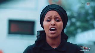 Oromo Music  Urgeessaa Asheetuu haacee koo  New Ethiopian Music 2020Official Video [upl. by Loveridge]