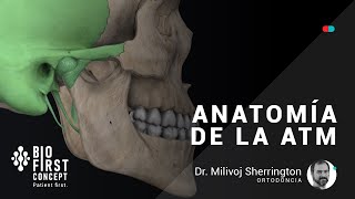 Anatomia ATM 3D  Estructuras óseas ligamentos y musculatura  ATM Series 01 [upl. by Eicnahc]