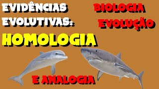 EVIDÊNCIAS EVOLUTIVAS Homologia x Analogia  EVOLUÇÃO  BIOLOGIA [upl. by Steddman]