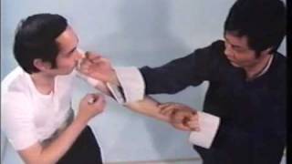 Wing Chun Basic Techniques part 1 [upl. by Florri]