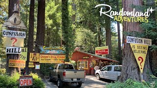 Confusion Hill  The real life Gravity Falls Roadside Attraction on the Redwood Highway [upl. by Aix]