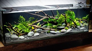 DIY STREAM Style Aquascape Low Tech [upl. by Nerual470]