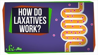 How Do Laxatives Work [upl. by Welton]