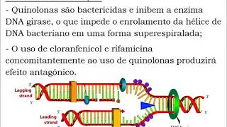 Farmacologia Veterinária  Antibióticos [upl. by Bray]