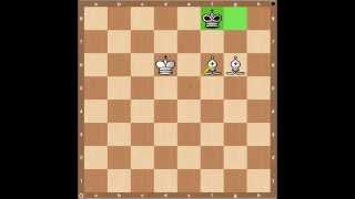 Chess Endgames Checkmate with Two Bishops [upl. by Lash]