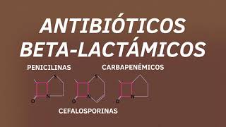 02 ANTIBIÓTICOS BETALÁCTAMICOS [upl. by Nevaeh]