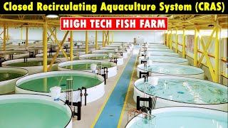 Closed Recirculating Aquaculture System CRAS  RAS Fish Farming  Modern Fish Farming Technology [upl. by Lizabeth]