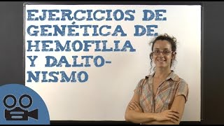 Ejercicios de genética de hemofilia y daltonismo [upl. by Maddalena79]