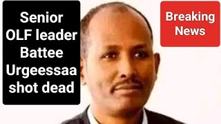 Breaking News Ethiopia Senior OLF leader Battee Urgeessaa Shot Dead [upl. by Yessac]