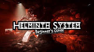 Helminth System Beginners Guide  Warframe Helminth Guide [upl. by Nraa]