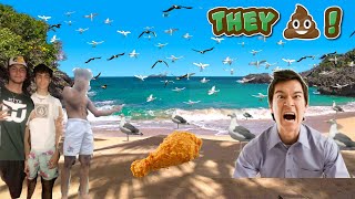 Feeding Seagulls Laxatives PRANK [upl. by Agamemnon242]