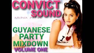 GUYANESE PARTY MIX DOWN [upl. by Sudnor]