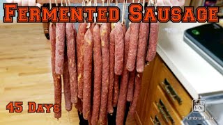 How to Make FERMENTED SAUSAGE like Pepperoni [upl. by Caruso]