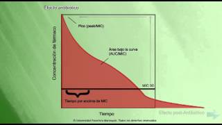Farmacocinética Farmacodinámica Antimicrobianos [upl. by Neeoma268]