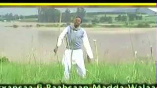 Urgessa Gabissa Hadhaa Mashiini Oromo Music [upl. by Aynatan193]