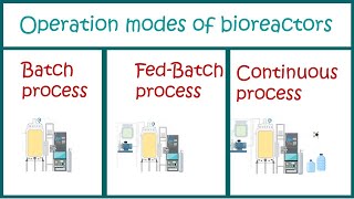 Types of Bioprocesses  Batch  Fed Batch and Continuous processes [upl. by Werdn137]