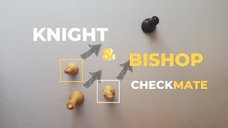 Knight and Bishop Checkmate  Chess Endgames [upl. by Ofella]