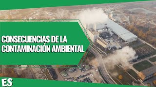 CONSECUENCIAS de la CONTAMINACIÓN AMBIENTAL ✅ VIDEO EDUCATIVO 📚 [upl. by Kneeland]