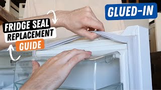 How to Replace a Glued in Refrigerator Door Gasket Seal [upl. by Lodnar]