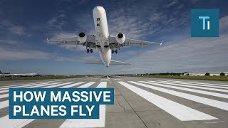 How Massive Airplanes Take Off And Stay In Midair [upl. by Aloisia]