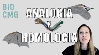 Analogia x Homologia  Você sabe a diferença [upl. by Jolanta633]